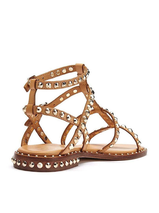 Ash Women's Sandals Brown