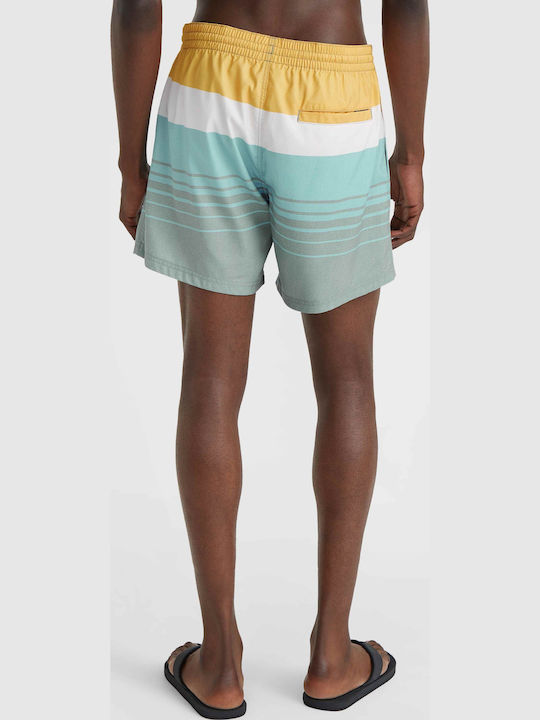 Cali Herren Badebekleidung Shorts Green mit Mustern
