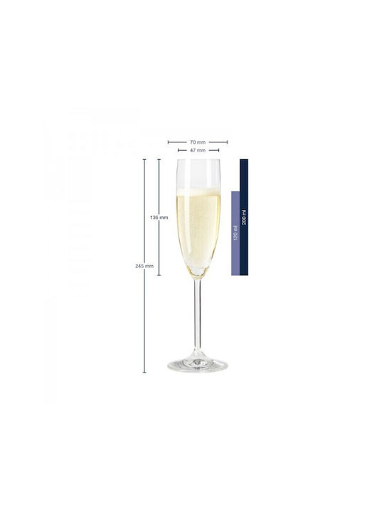 Leonardo Daily Set of Glasses Champagne made of Glass Stemmed 200ml 6pcs