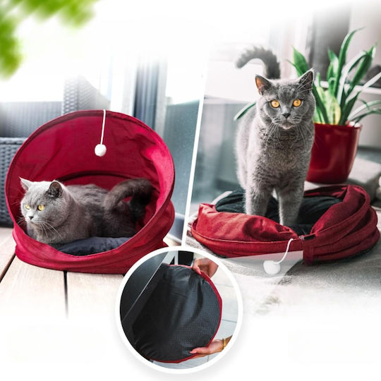 Bett Katze Rot
