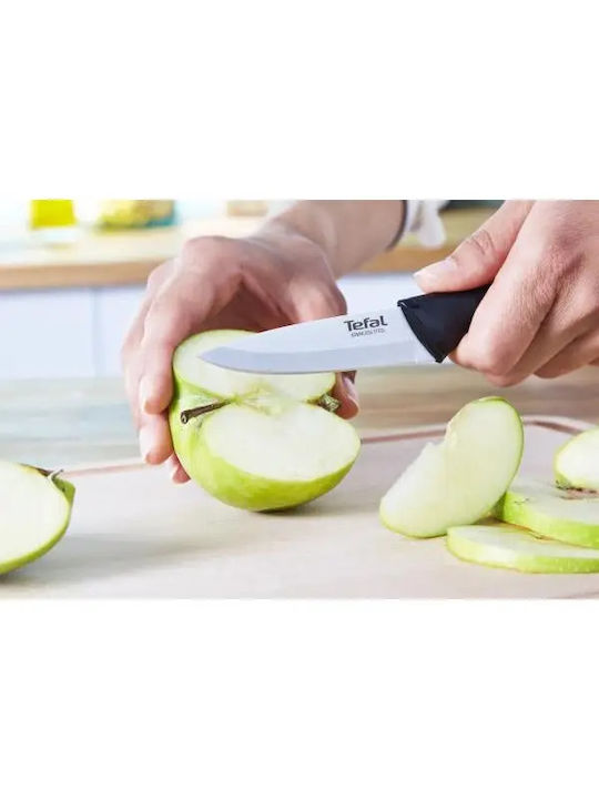 Tefal Essential T Messerset aus rostfreiem Stahl
