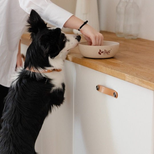 Dingo Kunststoff Schalen Futter für Hund & Katze 200ml 12.5cm in Beige Farbe