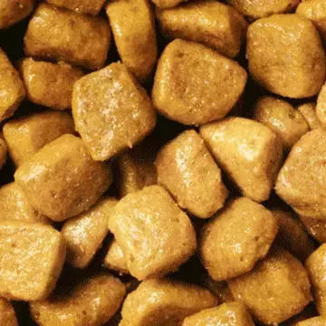 Pro Plan Hrană Uscată pentru Pisici Adulte cu Curcan 1.5kg