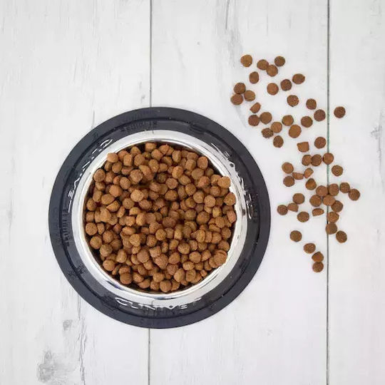 4kg Dry Food for Adult Dogs with Tuna, Chicken and Fish