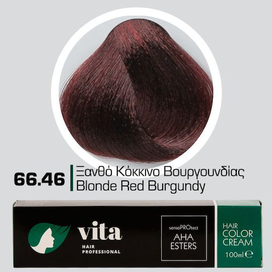 Vita Hair Professional Βαφή Μαλλιών Ξανθό Κόκκινο Βουργουνδίας 66.46 100ml