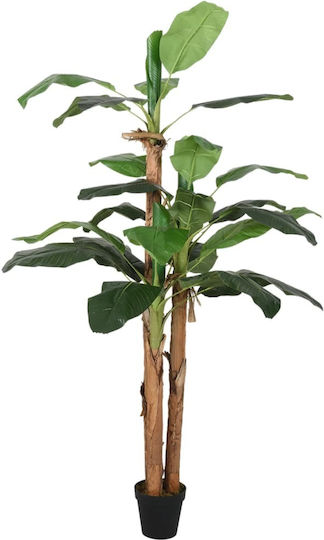 Outdoor Musa Tree vidaXL