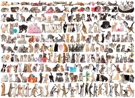 The World of Cats Puzzle 2D Smart Cut Design 1000pcs