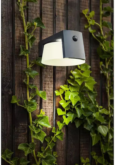Lutec Wall Mounted Solar Light 9.5W 1000lm Natural White 4000K with Motion Sensor and Photocell IP44 16cmx21.7cmx9.6cmcm