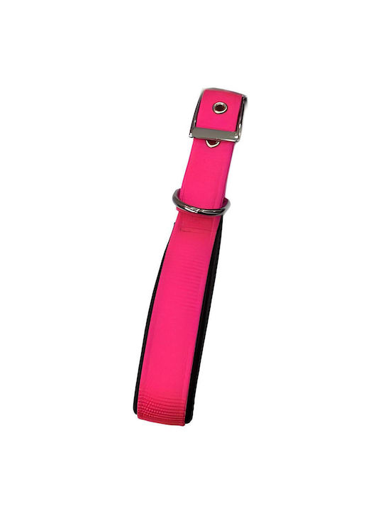 Pet Camelot Dog Collar in Green color 25mm x 55cm