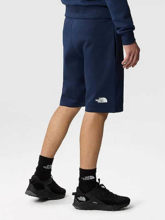 The North Face Standard Men's Athletic Shorts Navy