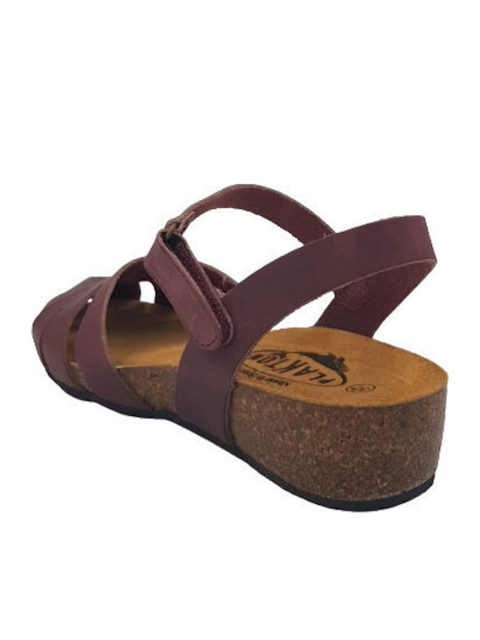 Platforme Dama Anatomici Violet