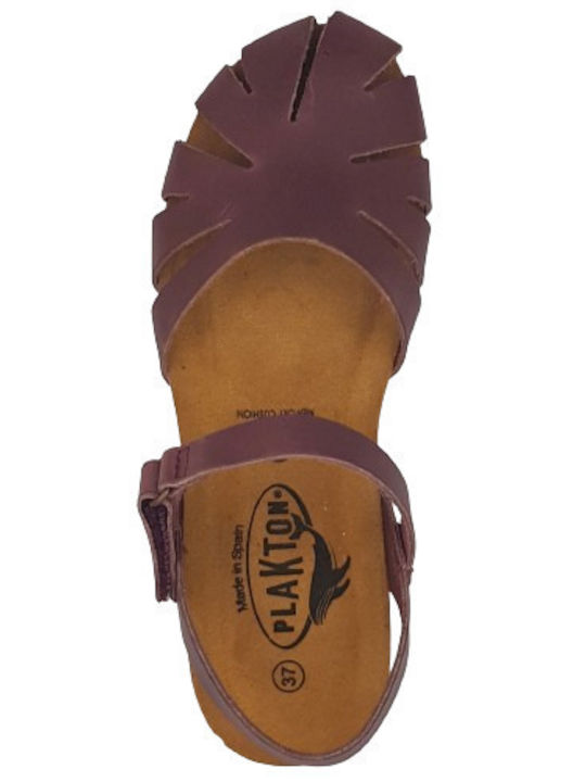 Platforme Dama Anatomici Violet