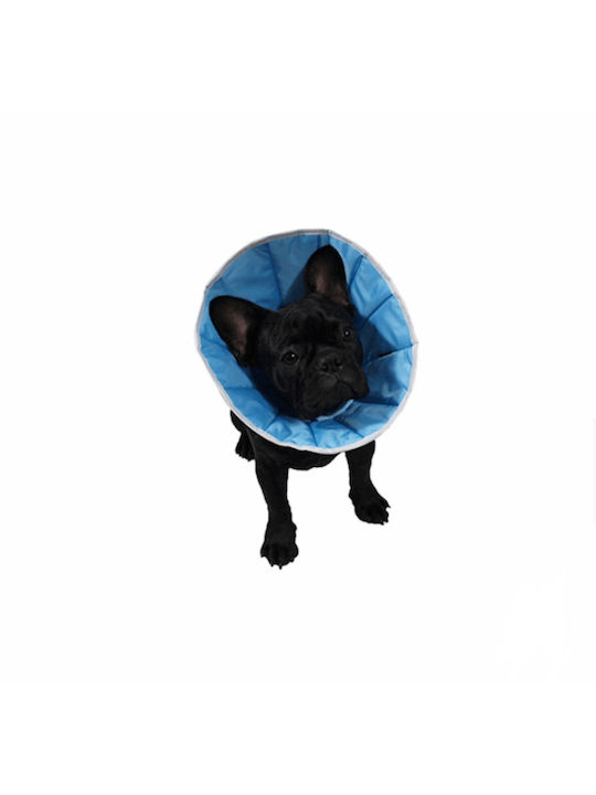 Grande Finale Hundehalsband aus in Blau Farbe Groß 30cm