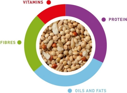 Padovan COCORITE Futter für Wellensittiche 850gr