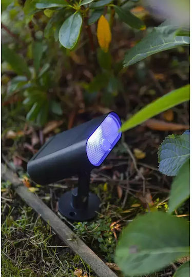 Lutec Ginbo Solar Light Floor 0.8W 500lm Warm White 2700K with Motion Sensor and Photocell IP44 10.9cmx8.6cmx15.5cmcm