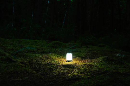 BioLite Alpenglow Led Rechargeable Lantern for Camping 250lm White