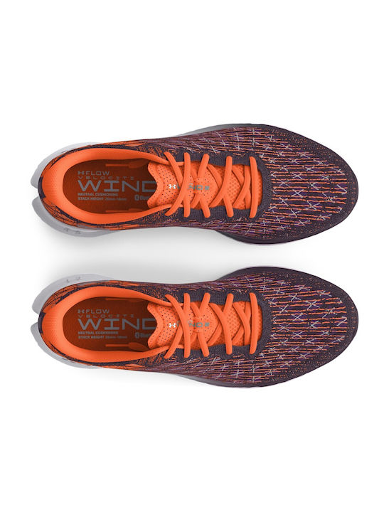 Flow Velociti Wind 2 Sport Shoes Running Purple