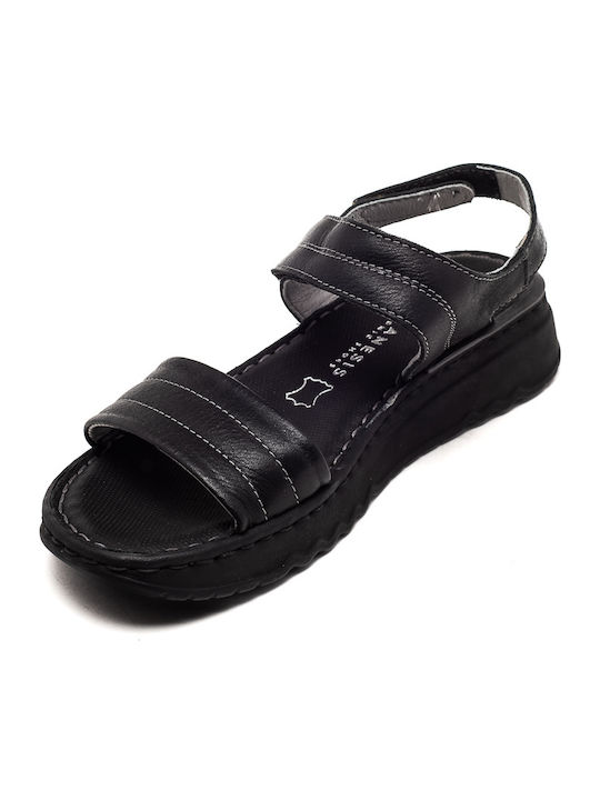 Air Anesis