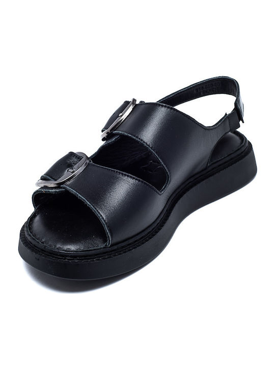 Air Anesis