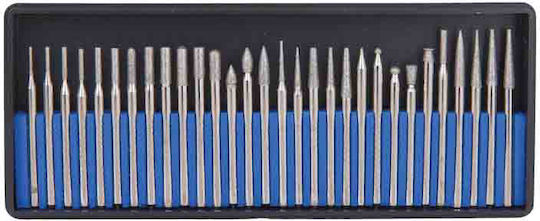 Raider Cutter Bit with Diameter 3mm Set 30pcs 157708