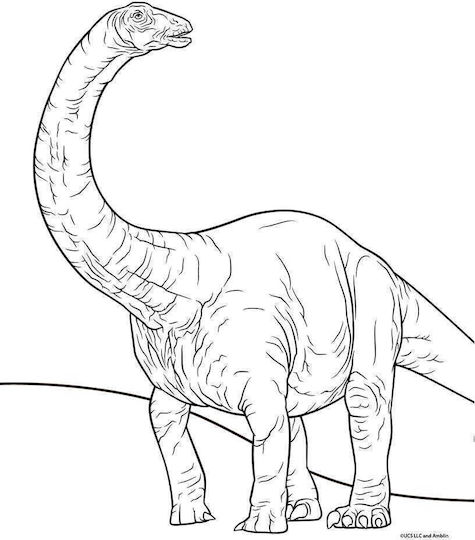 Diakakis Heft Geregelt 24 Blätter Jurassic 1Stück
