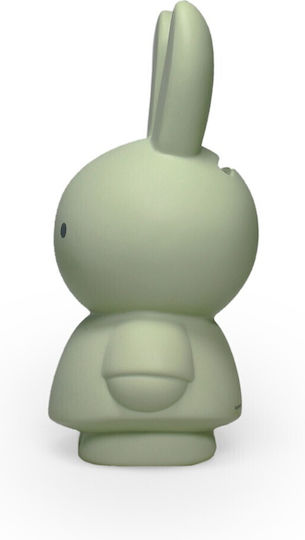 AP Cutiuta de bani Plastic Verde