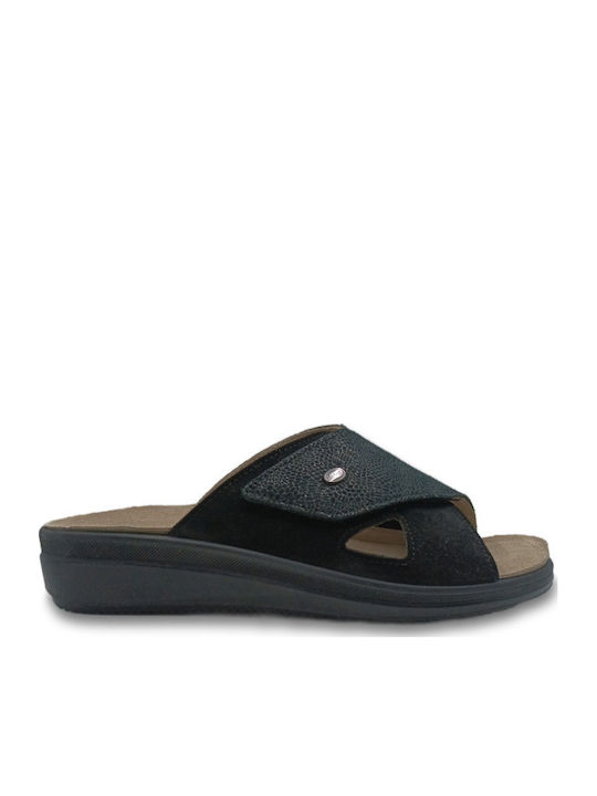 Scholl