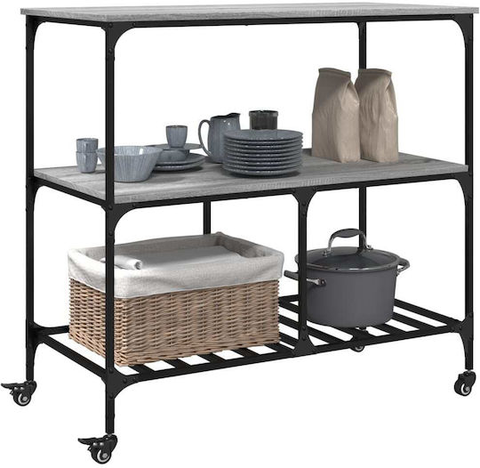 vidaXL Commercial Kitchen Food Cart H95xW100xD50cm