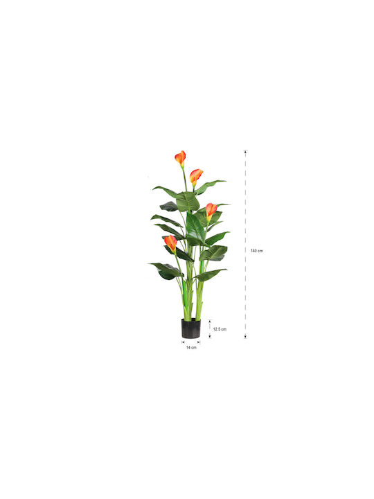 Κάλλα σε Γλάστρα 160cm Home & Camp