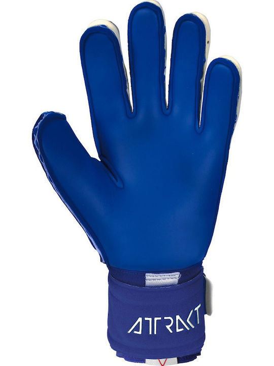 Reusch Attrakt Gold X Expanse Cut 2.0 Γάντια Τερματοφύλακα Ενηλίκων Μπλε
