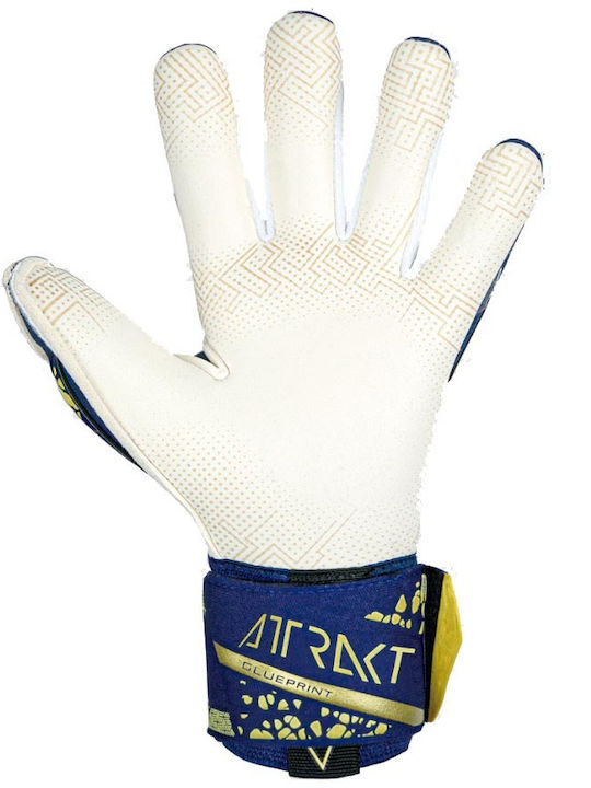 Reusch Attrakt Γάντια Τερματοφύλακα Ενηλίκων Μπλε