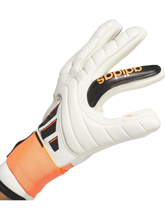 adidas Copa Pro Adults Goalkeeper Gloves White