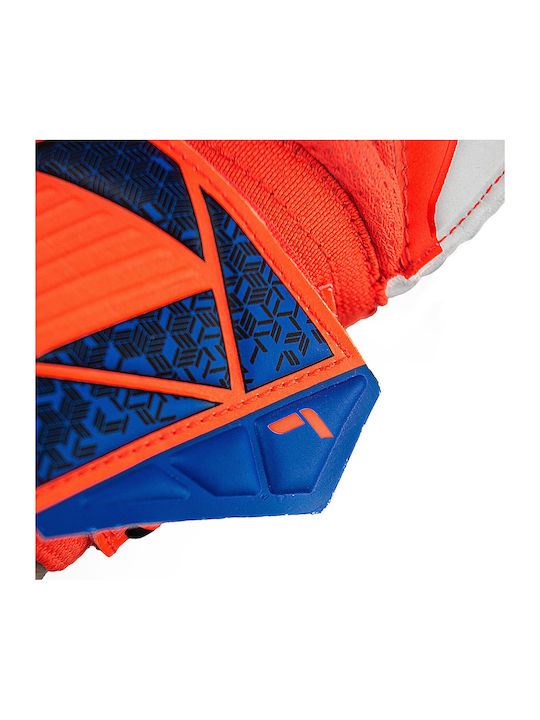 Reusch Reusch Attrakt Solid Adults Goalkeeper Gloves Orange