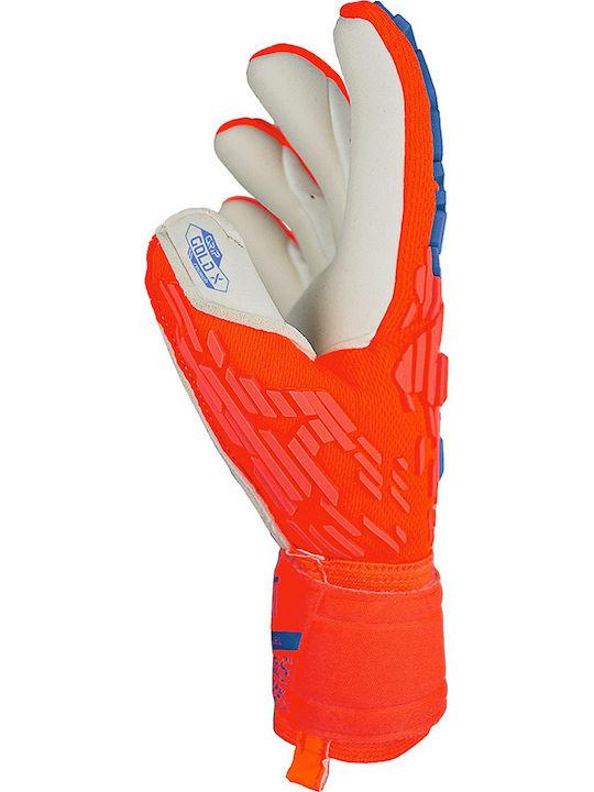Reusch Attrakt Gold X Freegel Γάντια Τερματοφύλακα Ενηλίκων Κόκκινα