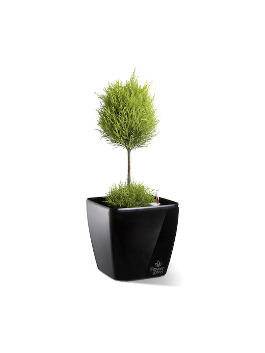 Hydrostab Pot Plastic 22x22x21cm.