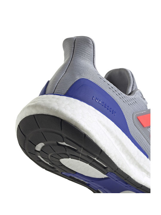Pureboost 23 Herren Sportschuhe Laufen GRI