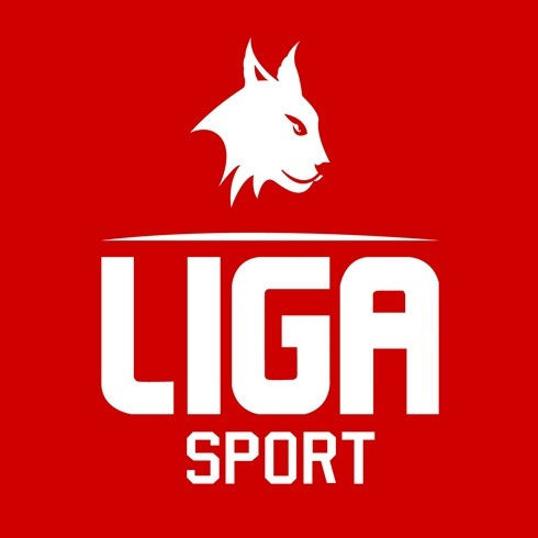 Liga Sport Open Court Basketball Draußen