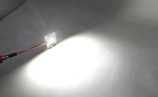 Panel 1 Led 12v T10 Sv8.5 T4w Ba9s C5w W5w Canbus 950lm 1 Pc