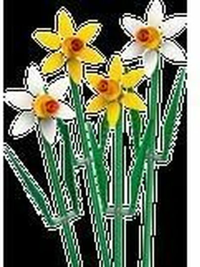 LEGO Botanical Collection Daffodils for 8+ Years 216 Pieces