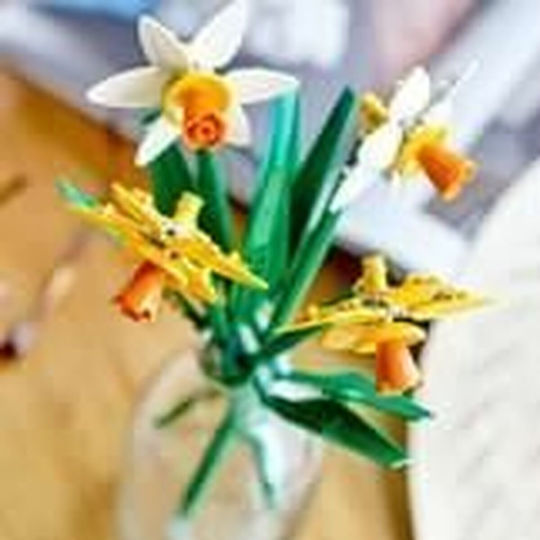 LEGO Botanical Collection Daffodils for 8+ Years 216 Pieces