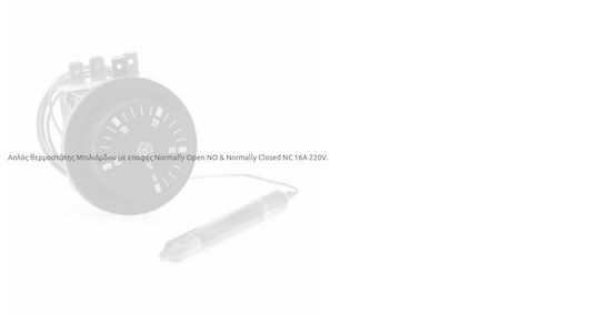Instrument Μπιλιάρδου Termostat simplu pentru biliard 1buc