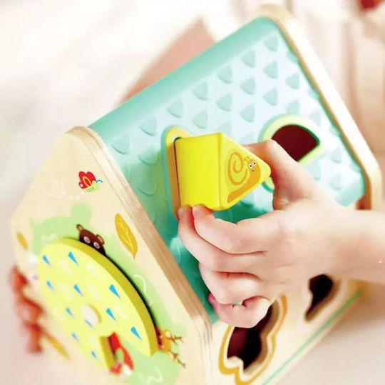 Hape Παιχνίδι Ταξινόμησης Σχημάτων Early Explorer από Ξύλο για 24+ Μηνών