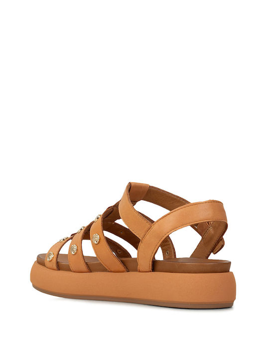Women's Flat Sandals in Tabac Brown Color