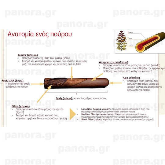 Πουρα Partagas Mini 10'