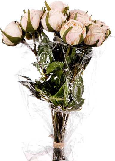 Getrocknete Pflanze Rose Somon 37cm Arpimex Srl