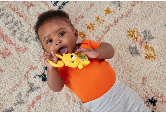 Fisher Price Leopard Toy