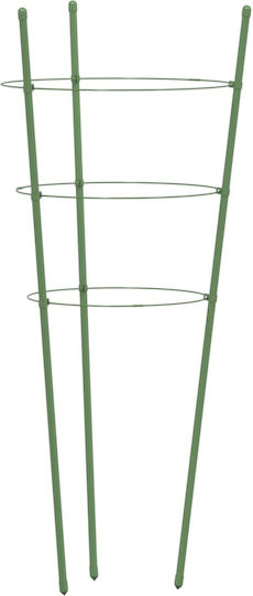 Garden Plant Stakes 3 Rings 5 Pcs Green 60 cm Steel 21.5 x 60 cm
