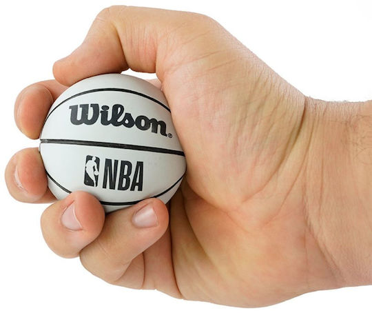 Wilson Dribbler Ball