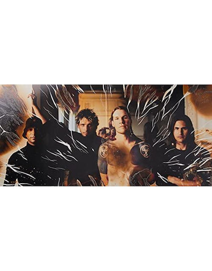 Audioslave Vinyl