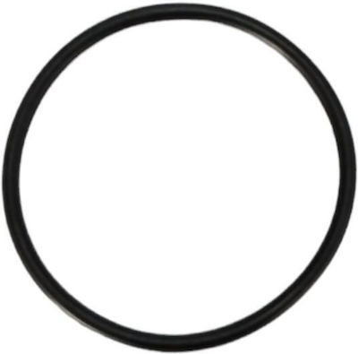 Yamaha Oil Filter Seal